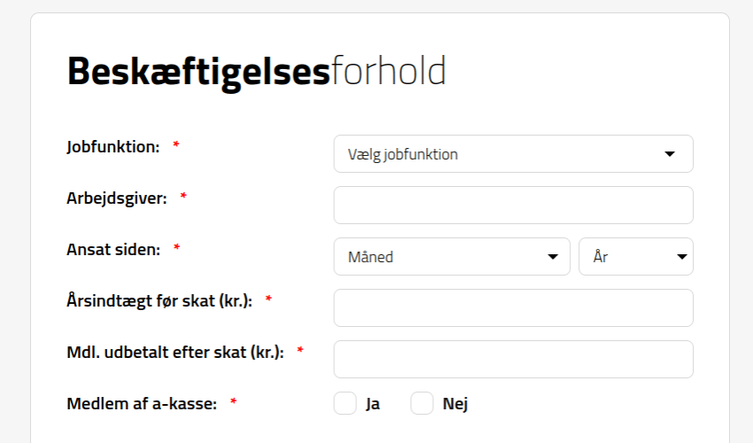 Anmeldelse af Modus Finans | Man skal her angive oplysninger vedrørende sit personlige beskæftigelsesforhold.