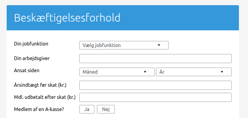 Anmeldelse af Spargo Finans | Man skal her fortælle om sine beskæftigelsesforhold.